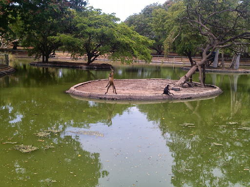 Parque zoológico metropolitano del Zulia