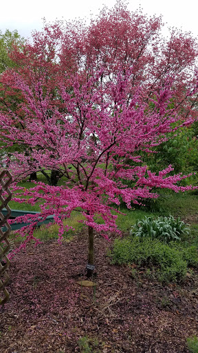 Zoo «Mesker Park Zoo», reviews and photos, 1545 Mesker Park Dr, Evansville, IN 47720, USA