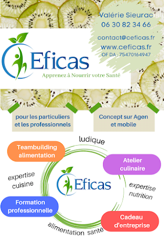 C Eficas à Agen