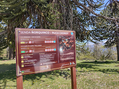 Estacionamiento Senda Ñorquinco - Ruca Choroy (Cascadas - Huella Andina) - Parque Nacional Lanín