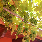 Photo n°5 de l'avis de Jutta.t fait le 07/07/2023 à 18:59 sur le  Hotel l'Esagono à San Teodoro