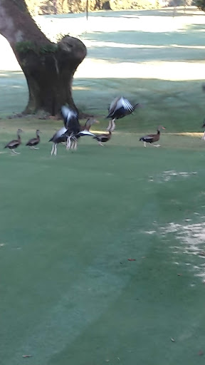 Country Club «Inverness Golf & Country Club», reviews and photos, 3150 S Country Club Dr, Inverness, FL 34450, USA