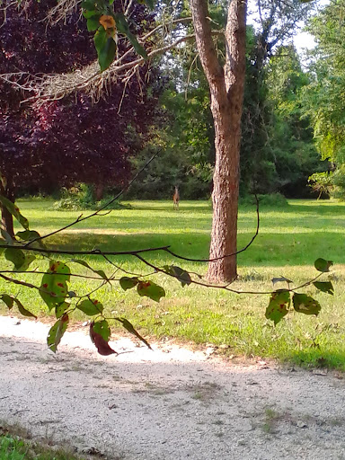 Country Club «Old Orchard Country Club», reviews and photos, 54 Monmouth Rd, Eatontown, NJ 07724, USA