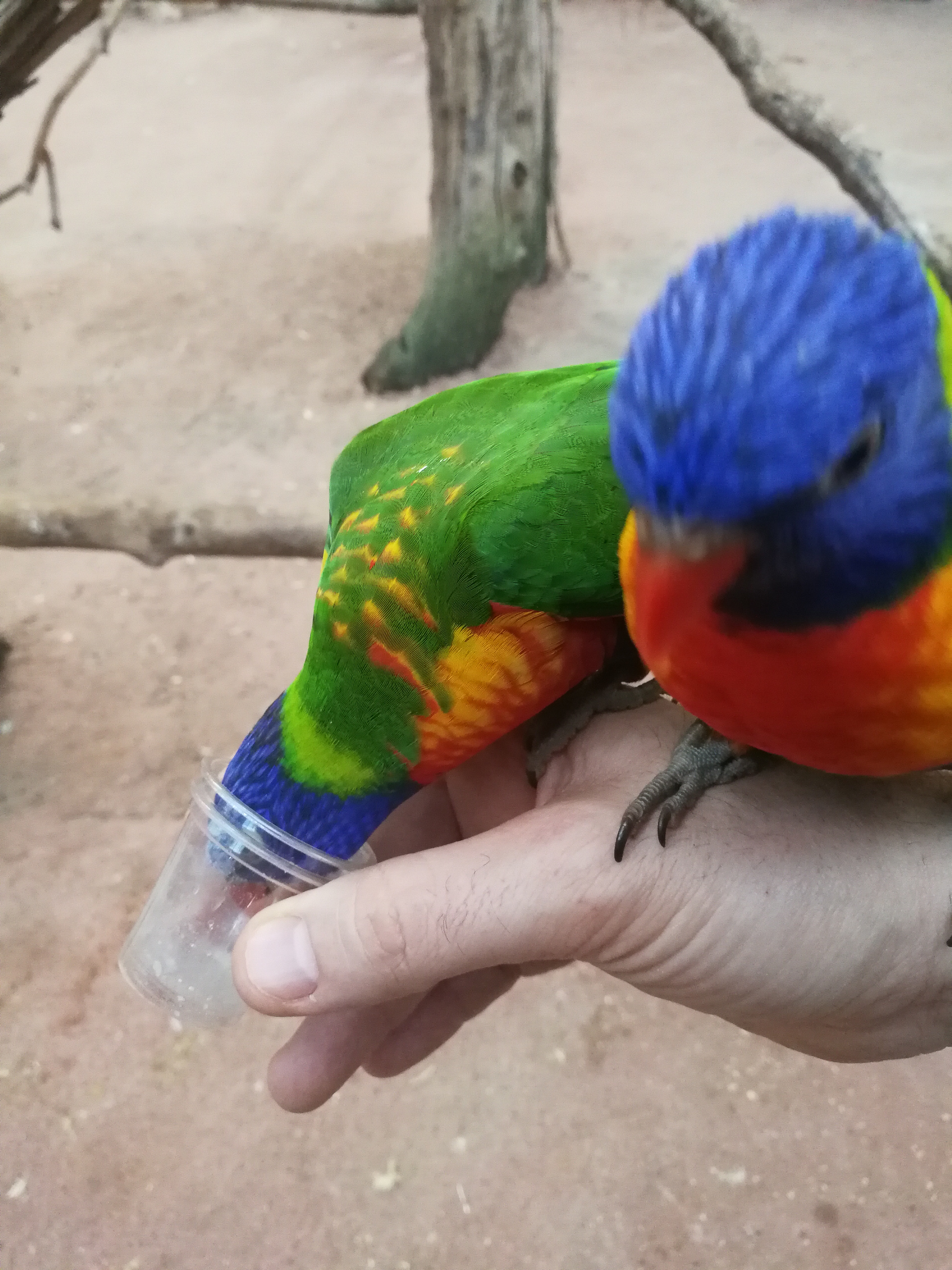 Photo n° 2 de l'avis de Carlito.H fait le 20/06/2018 à 18:07