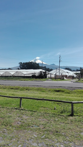 Opiniones de CASA GUILLO en Latacunga - Restaurante