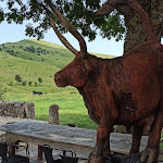 Photo n°1 de l'avis de Mario.o fait le 28/07/2023 à 09:42 sur le  Malga Campegno à Malga San Giorgio