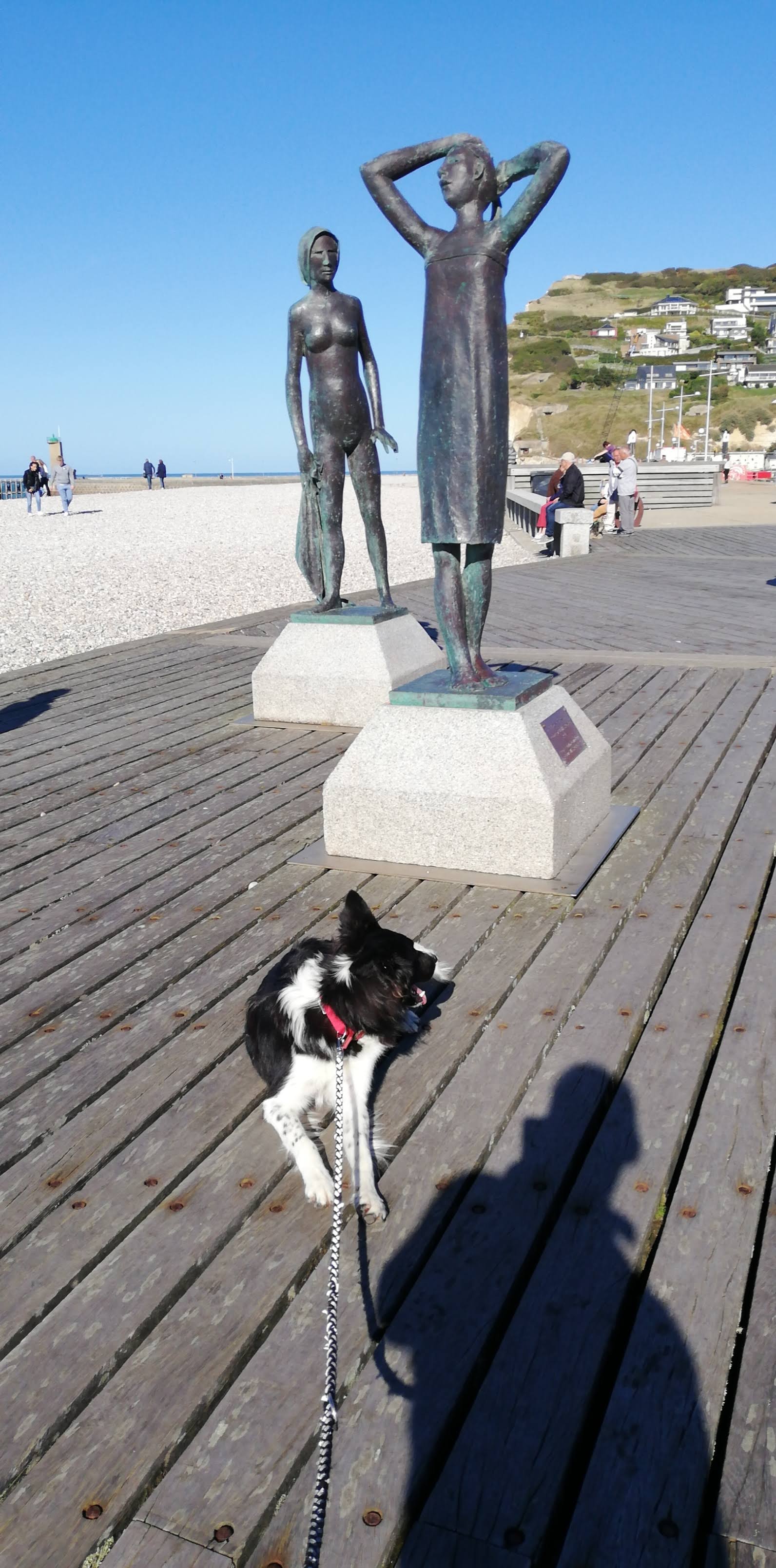 Photo n° 2 de l'avis de Steeve.o fait le 10/10/2022 à 18:05