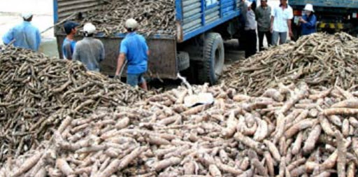 Top 3 cửa hàng bkav Huyện Tân Châu Tây Ninh 2022