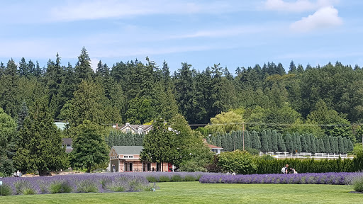 Event Venue «Woodinville Lavender», reviews and photos, 14223 Woodinville-Redmond Rd NE, Redmond, WA 98052, USA