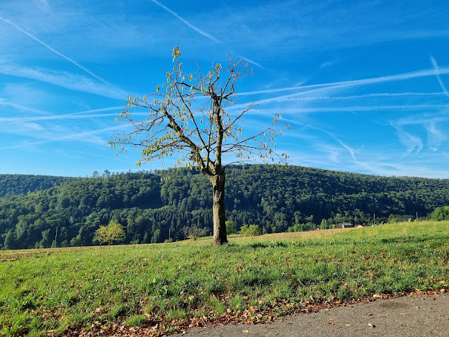 Rezensionen über Verzweigung Rosenberg/Bienenberg in Liestal - Sportstätte