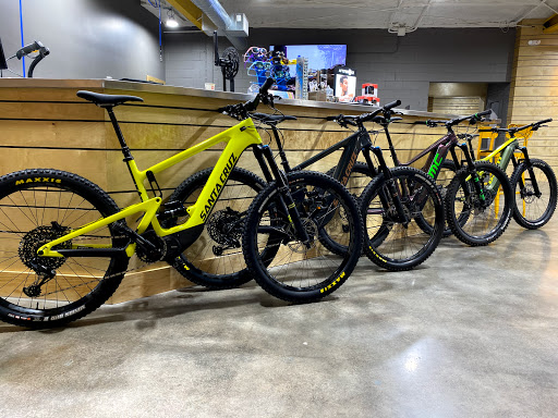 Bicycle Store «Urban Bicycle Gallery», reviews and photos, 4814 Nett St, Houston, TX 77007, USA