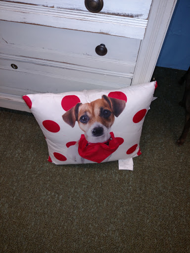 Furniture Store «BLACKLION Furniture», reviews and photos, 10635 Park Rd, Charlotte, NC 28210, USA