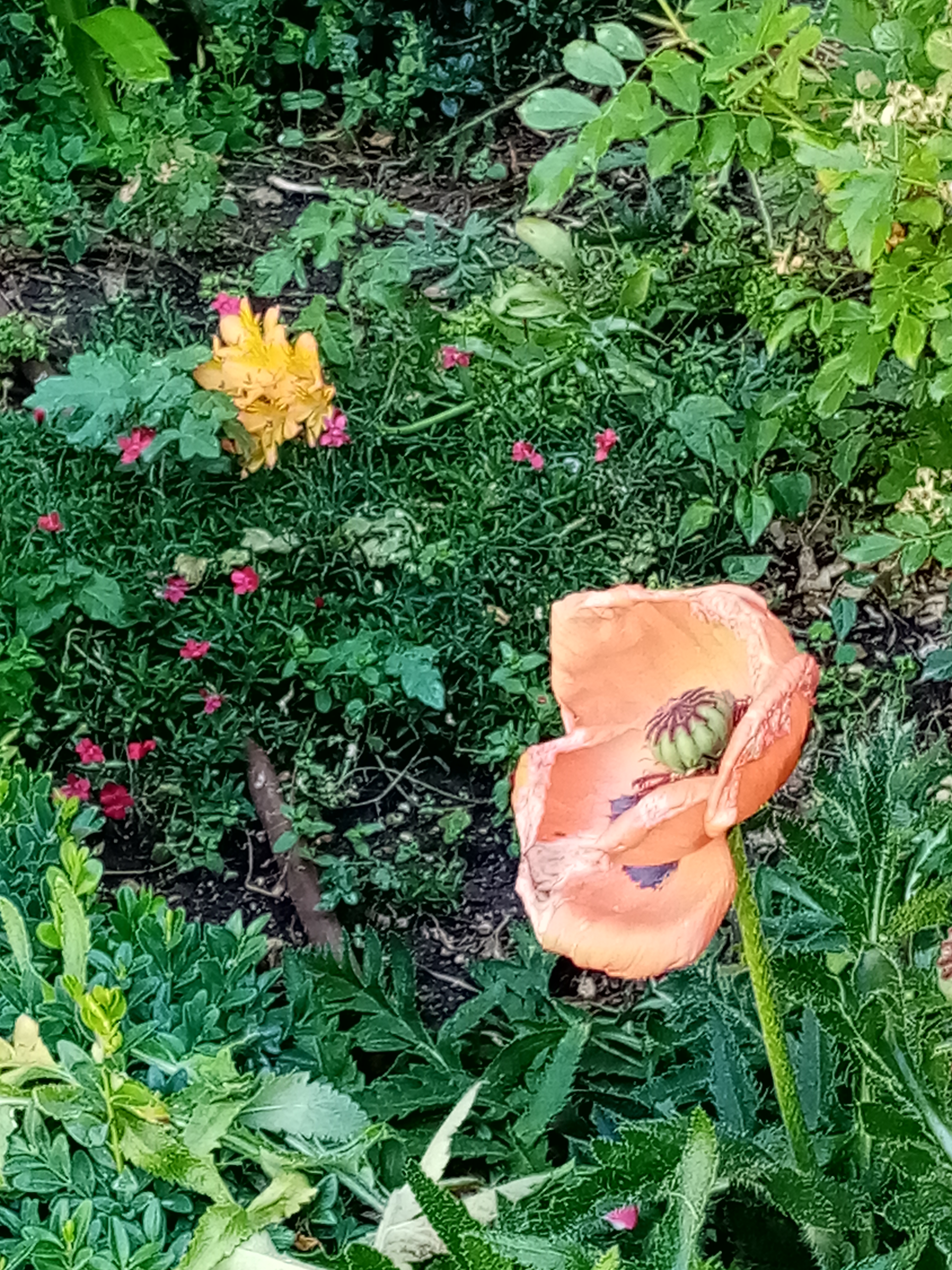 Photo n° 2 de l'avis de Sylvie.a fait le 21/06/2022 à 05:15