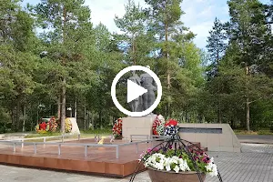 Pamyatnyy Memorial "Nikto Ne Zabyt" image