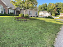 Wells&Wells Services LLC