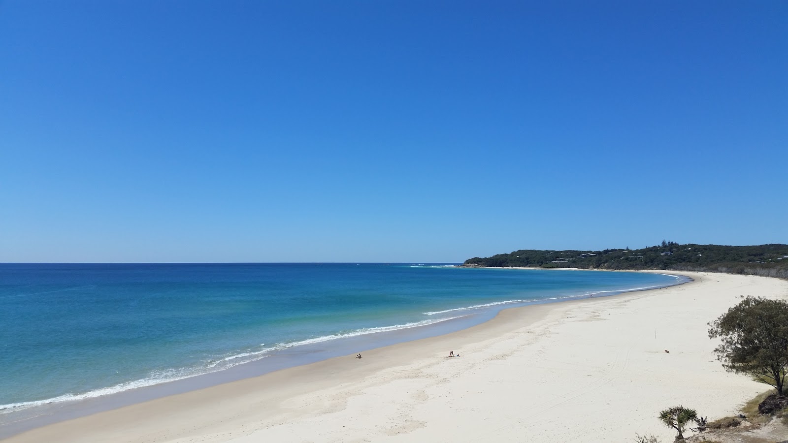 Photo de Flinders Beach avec sable fin et lumineux de surface