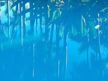 Maison d'hôtes- Poivre et citronnelle - île de la Réunion - by null