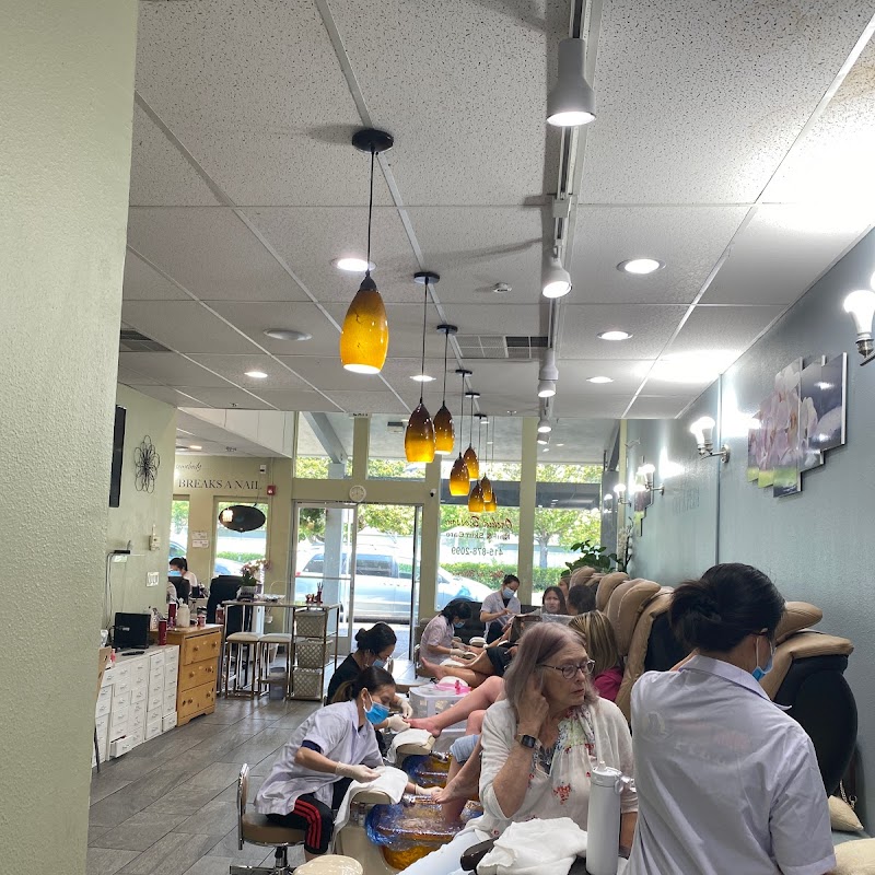 Orchid Blossom Nail Salon