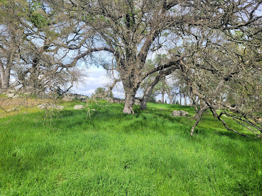 Museum «Maidu Museum & Historic Site», reviews and photos, 1960 Johnson Ranch Dr, Roseville, CA 95661, USA