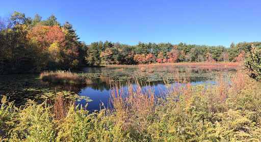 Nature Preserve «The Nature Trail and Cranberry Bog», reviews and photos, 252 Patriot Pl, Foxborough, MA 02035, USA