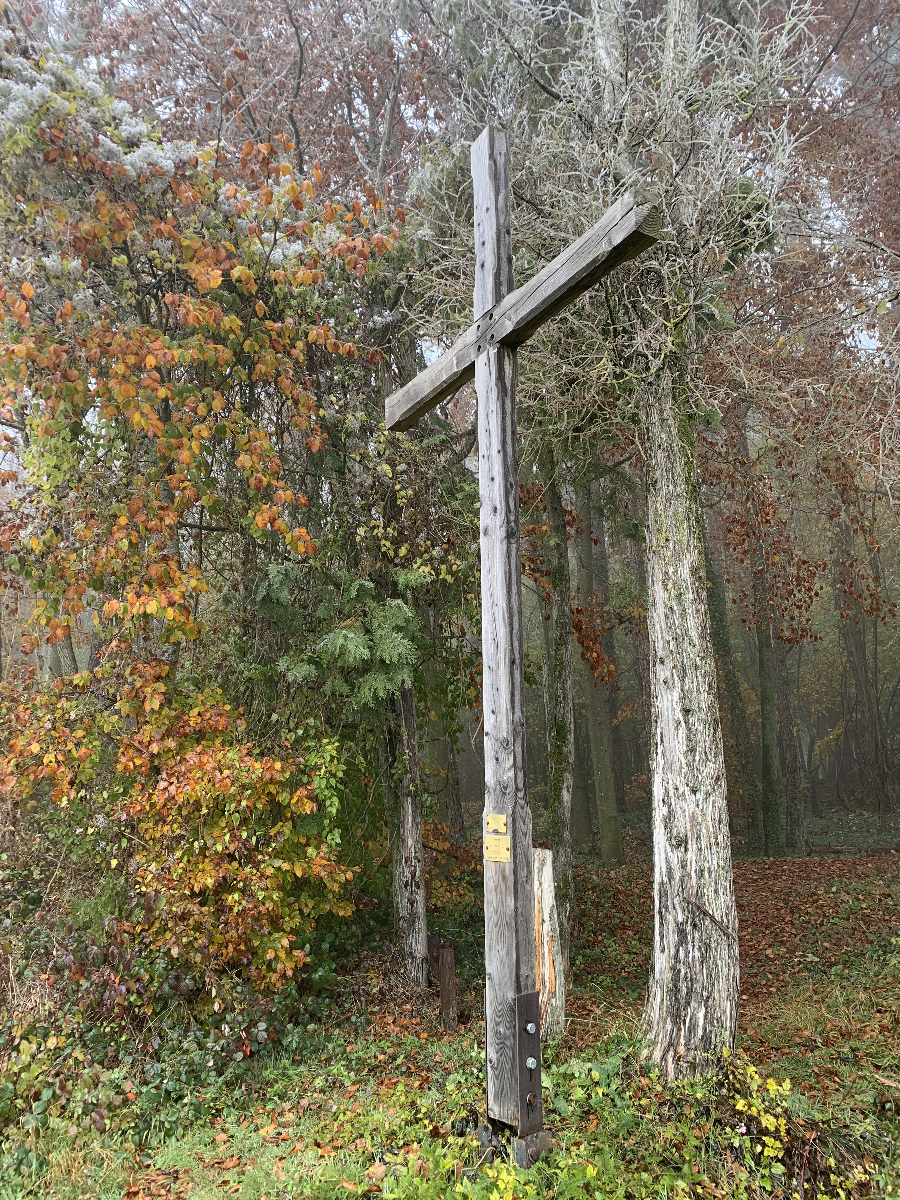 Photo n° 11 de l'avis de David.O fait le 12/11/2021 à 19:51