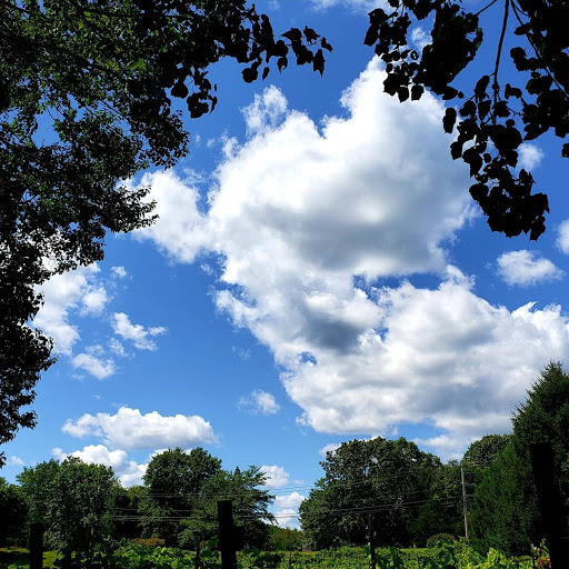 Winery «Dalice Elizabeth Winery», reviews and photos, 6 Amos Rd, Preston, CT 06365, USA