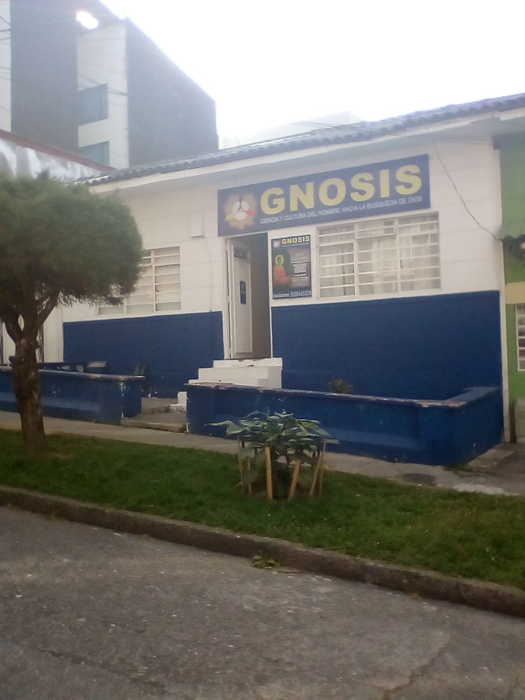 GNOSIS Manizales CHIPRE