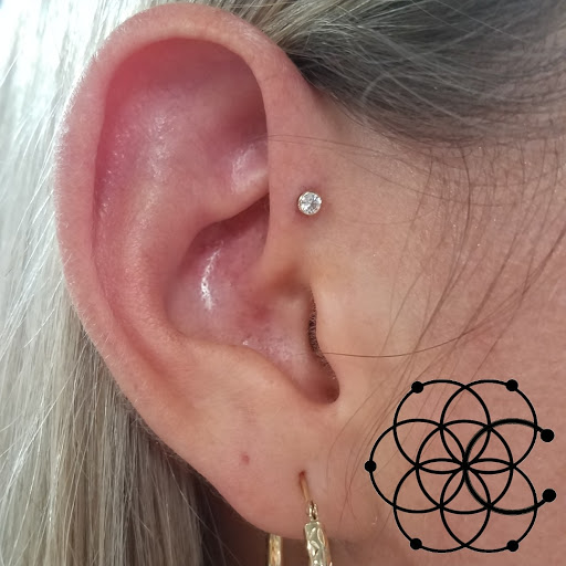 Explore lioness tattoo ideas, creative tattoo ideas in Sarasota, available at Z-Edge Tattoo & Body Piercing South Shop