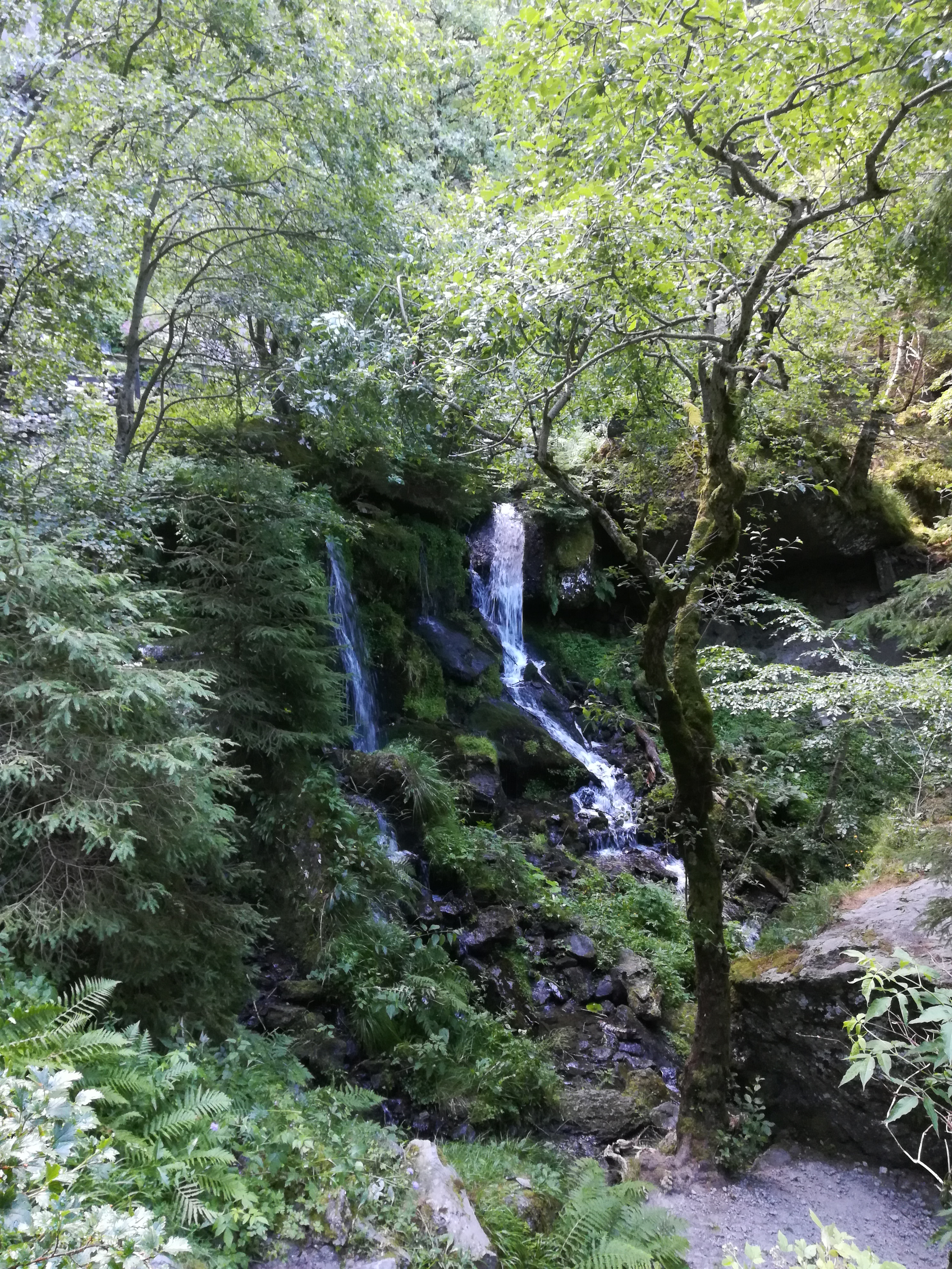 Photo n° 2 de l'avis de Pascal. fait le 14/07/2019 à 13:25