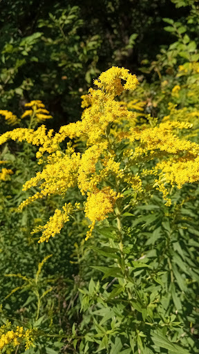 Tourist Attraction «Brandywine Gorge Trail», reviews and photos, 8176 Brandywine Rd, Sagamore Hills, OH 44067, USA