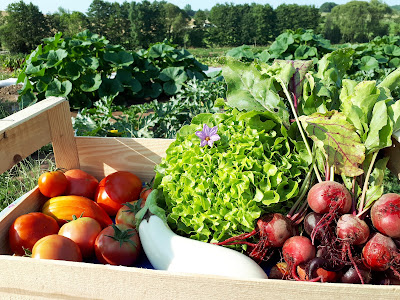 Les Jardins de Popote à Ébersviller