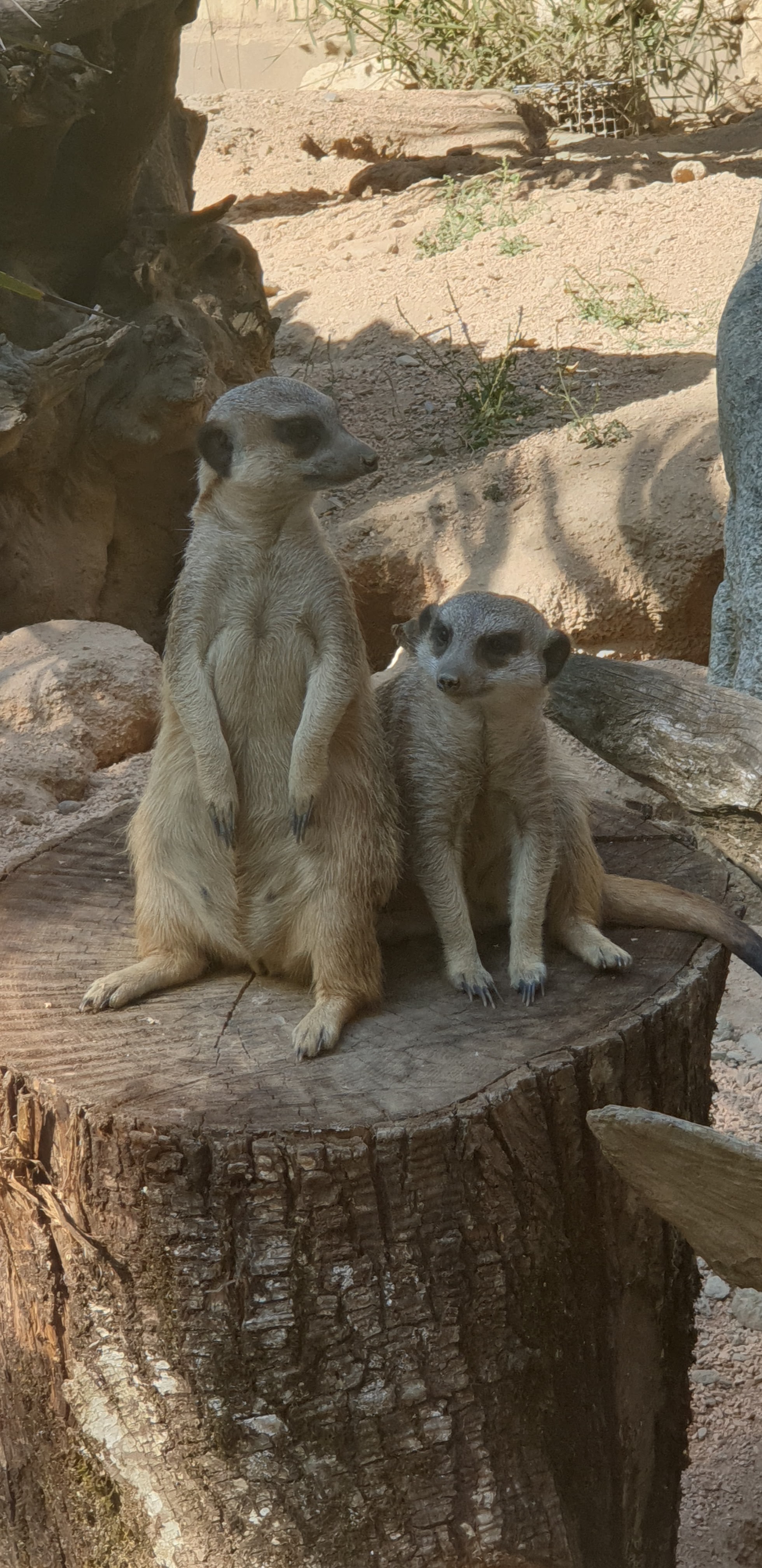 Photo n° 2 de l'avis de Thomas.e fait le 15/09/2020 à 14:40