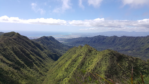 Honolulu Watershed Forest Reserve