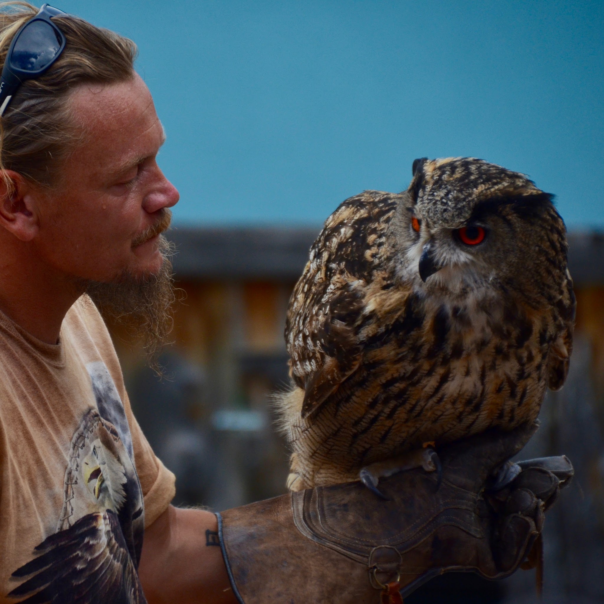 Photo n° 1 de l'avis de Sébastien.i fait le 24/06/2017 à 20:20