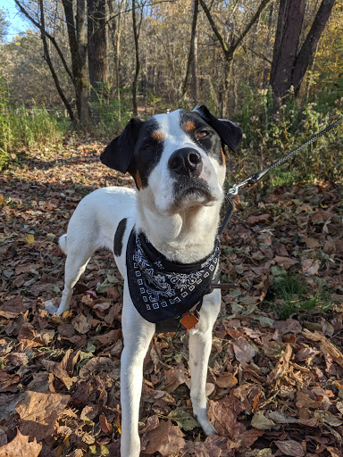 Park «Cherokee Park», reviews and photos, 745 Cochran Hill Rd, Louisville, KY 40206, USA