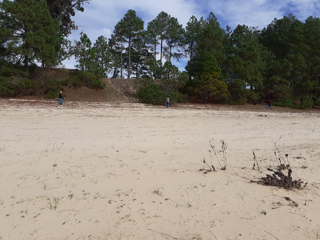 Camping San Gregorio de Polanco - Tacuarembó