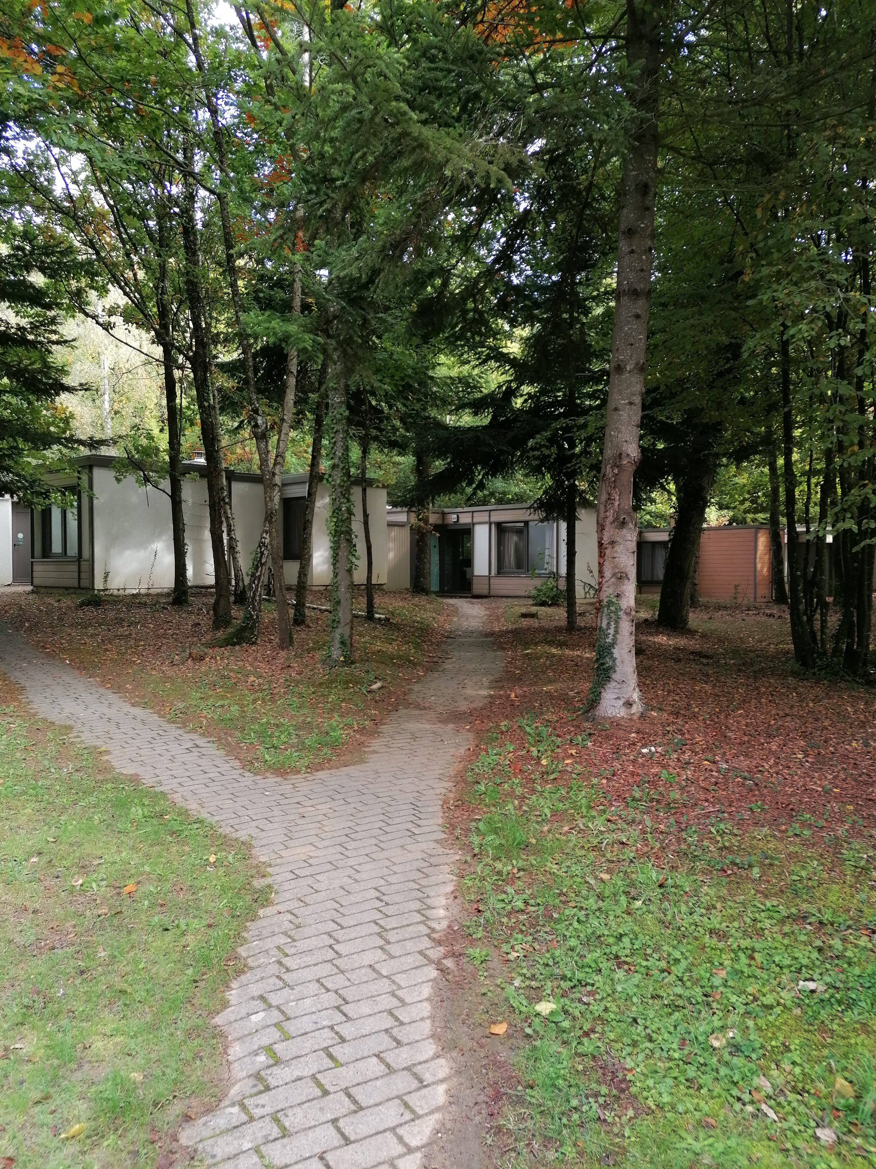 Photo n° 6 de l'avis de E. fait le 15/10/2022 à 03:22