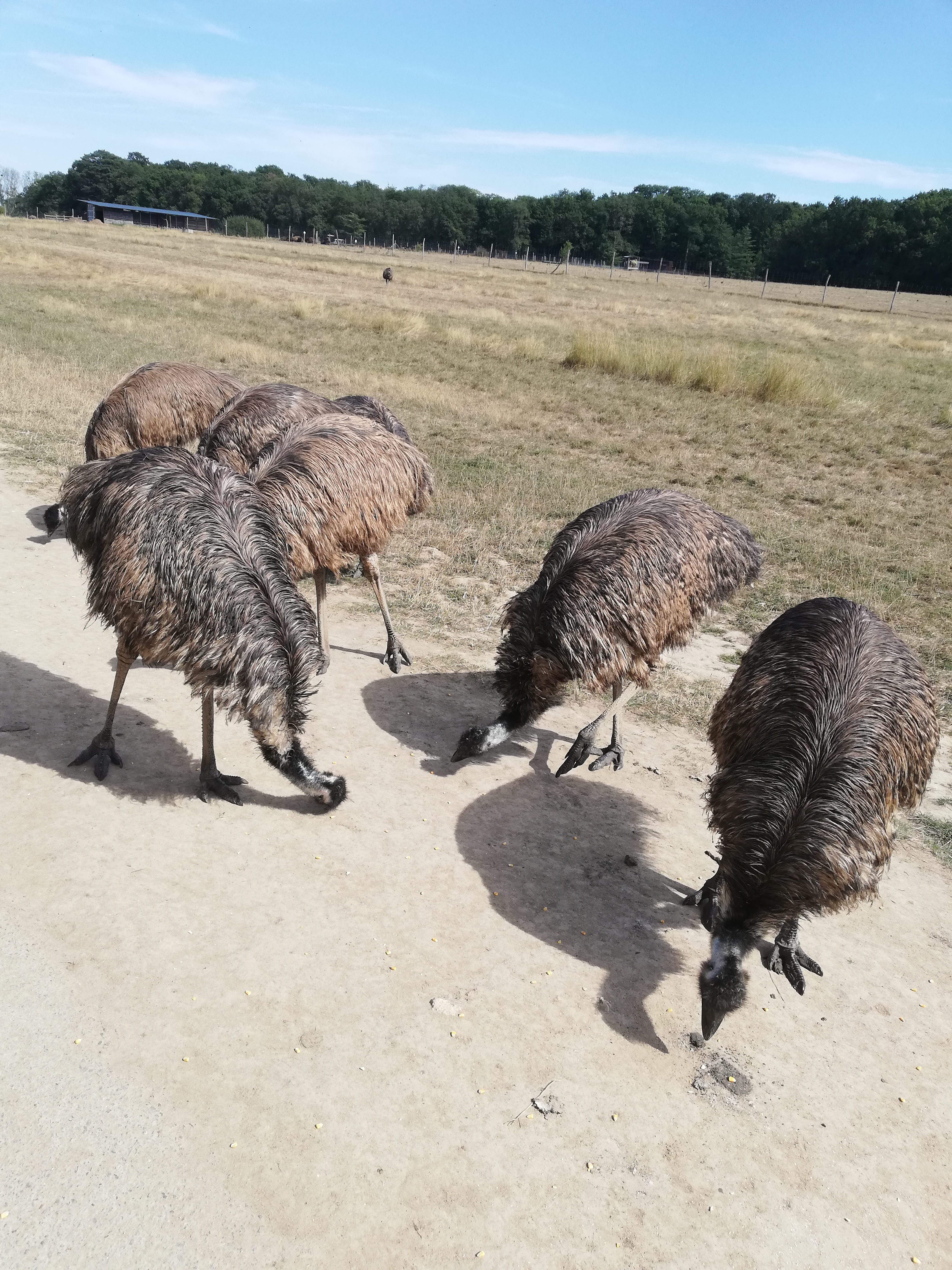 Photo n° 36 de l'avis de Severine.e fait le 23/08/2019 à 23:18