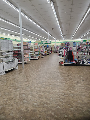 Dollar Store «Dollar Tree», reviews and photos, 1900 Rockbridge Rd SW h, Stone Mountain, GA 30087, USA