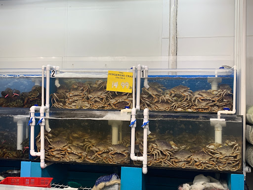 Asian Grocery Store «Hiệp Thái Food Store», reviews and photos, 2430 E Pioneer Pkwy, Arlington, TX 76010, USA