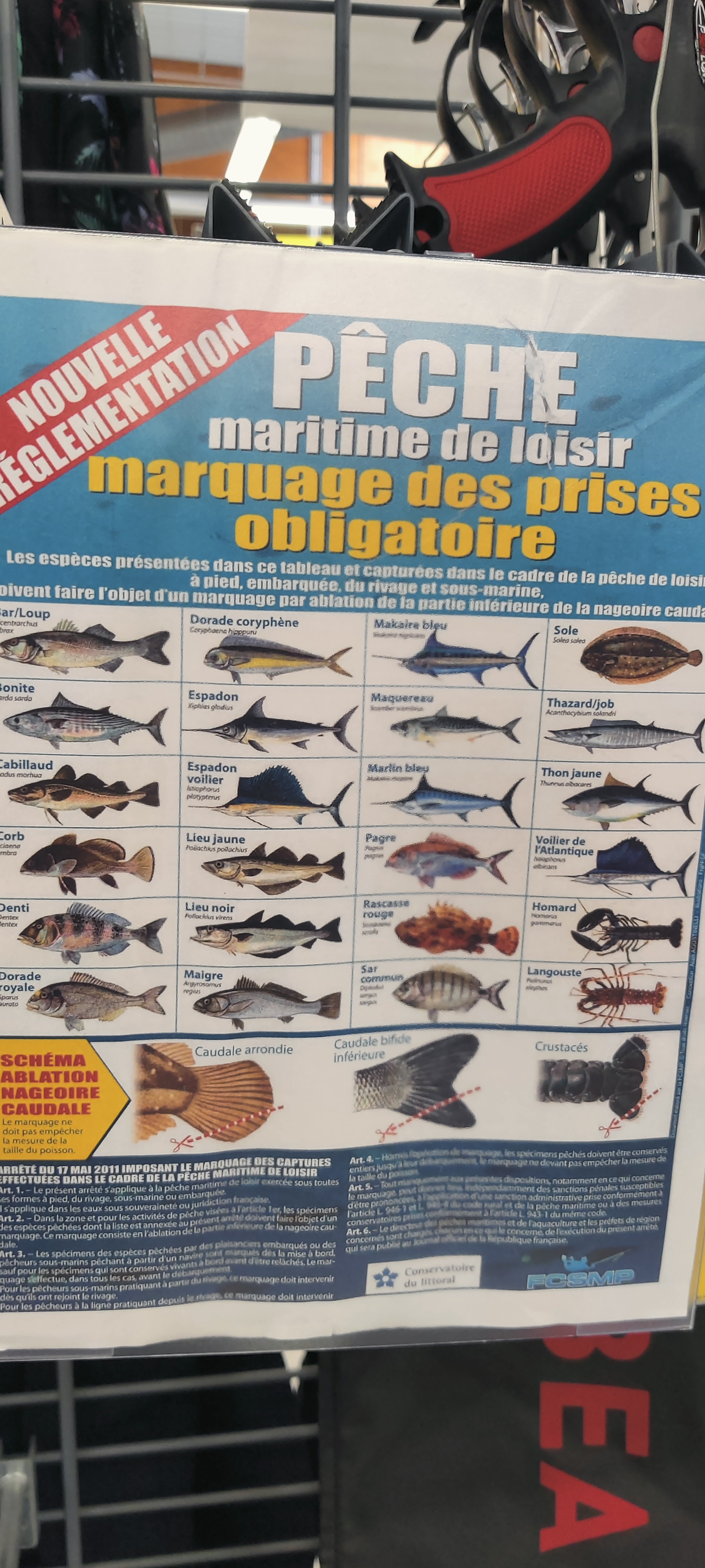Photo n° 29 de l'avis de Jacques.j fait le 27/07/2022 à 22:15