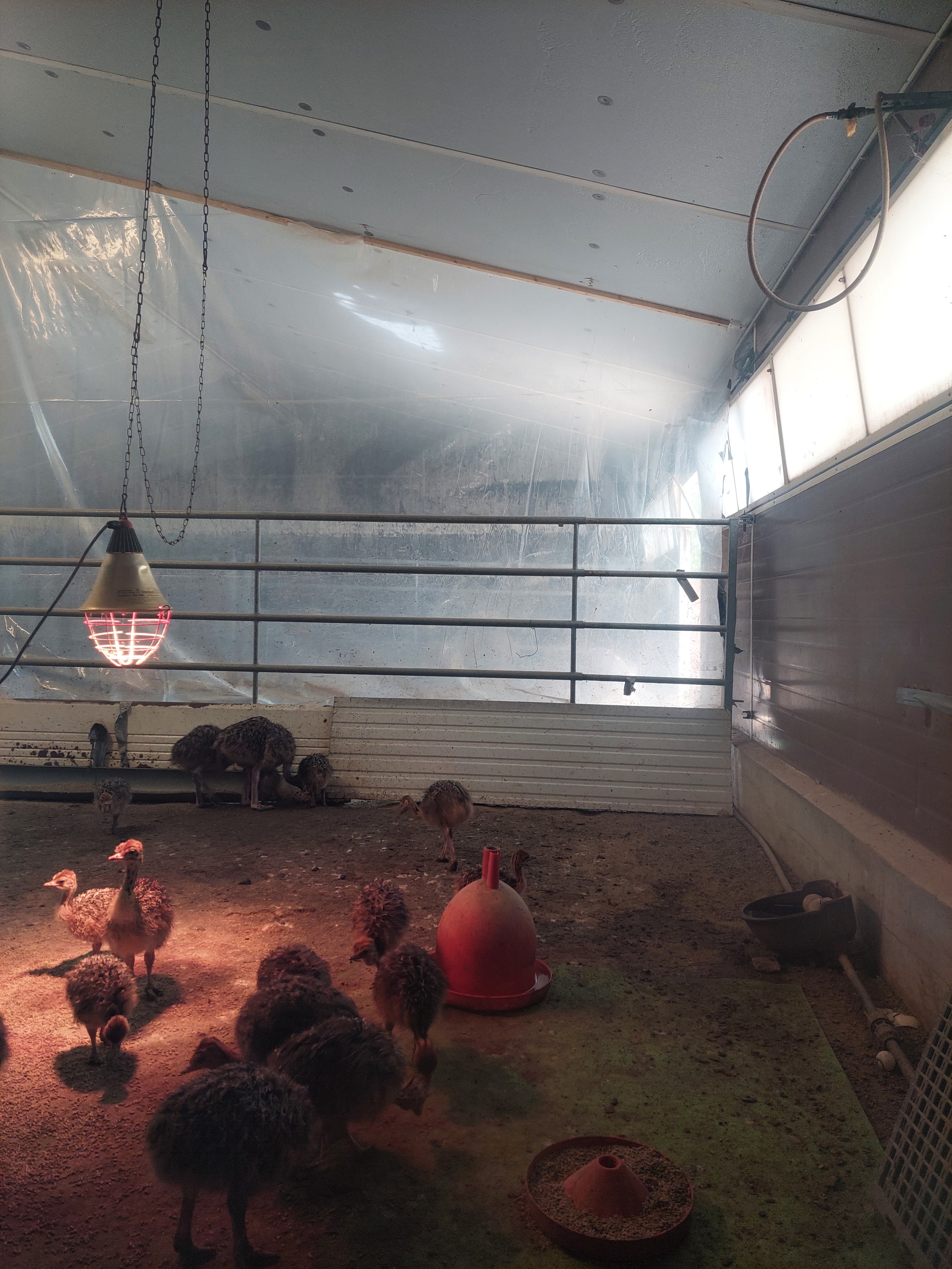 Photo n° 5 de l'avis de Mimi.i fait le 02/08/2023 à 16:57