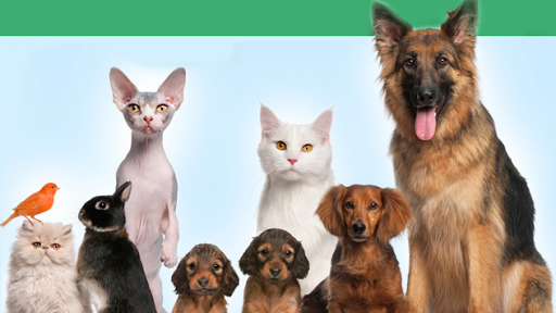 Clínica Veterinaria El Calvario en Tacoronte