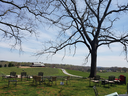 Winery «CeNita Vineyards, Winery & Tasting Room», reviews and photos, 591 Dock Dorsey Rd, Cleveland, GA 30528, USA