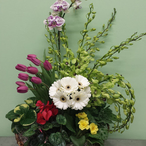 Florist «Annie Occasion for Any Occasion», reviews and photos, 148 S Bloomingdale Rd #110, Bloomingdale, IL 60108, USA