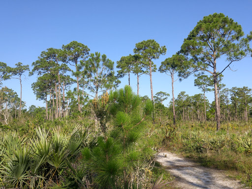 Learning Center «Oxbow Eco-Center», reviews and photos, 5400 NE St James Dr, Port St Lucie, FL 34983, USA