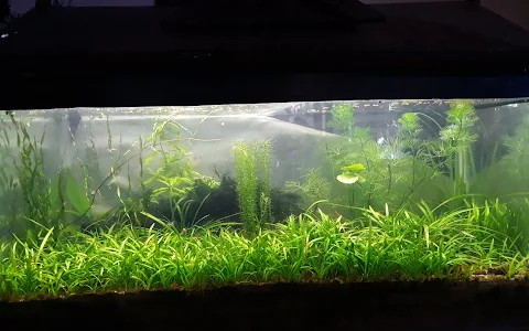 AQUASWILD image