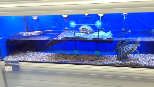 Pet Supply Store «PetSmart», reviews and photos, 2828 Campus Pkwy, Riverside, CA 92507, USA