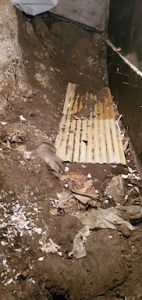 Saela Pest Control - Photo 9 - Car repair in Lynnwood, WA, Bremerton