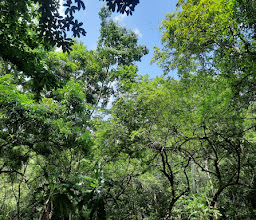 Alberca Reserva Cerro Hueco photo